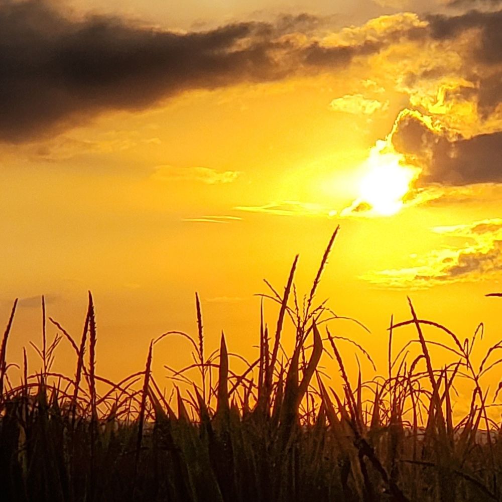 Meet your Posher, Cynthia